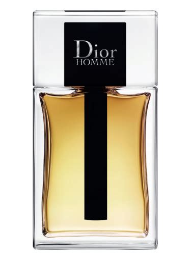 dior homme 2020 notes|dior homme edt fragrantica.